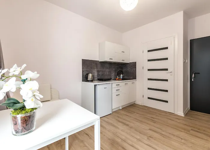 Manu Aparts By Mye Łódź